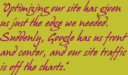 Website Consultant