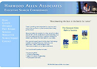 Website Consultation