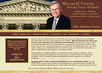 Website Consultant